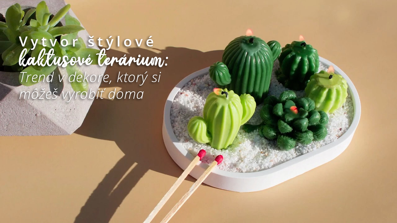 Vytvor stylove kaktusove terarium Trend v dekore ktory si mozes vyrobit doma