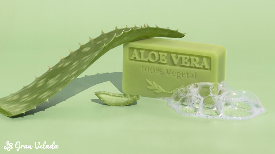 jabon de aloe vera casero